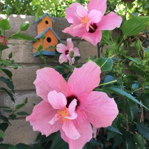 Meet your Posher, May